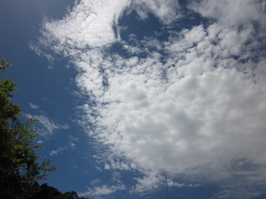 「夏季休業日のお知らせ」関連画像