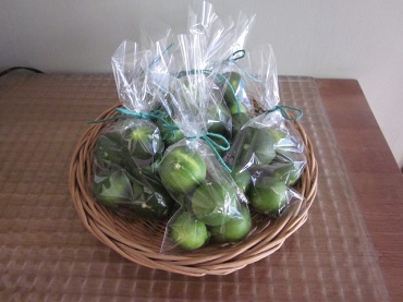 「すだち」関連画像