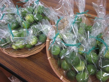 「すだち追加!」関連画像