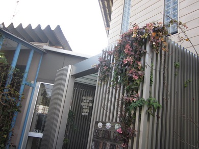 「いい感じに伸びてきました(’ω’)ノ」関連画像