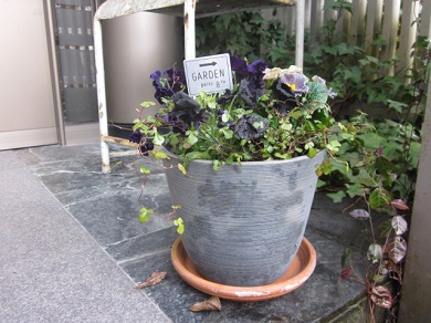 「まだまだ寒いですが・・」関連画像