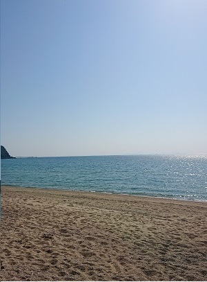 「配達の帰りに。。。」関連画像