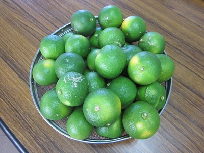 「すだちの季節がやってきた！」関連画像