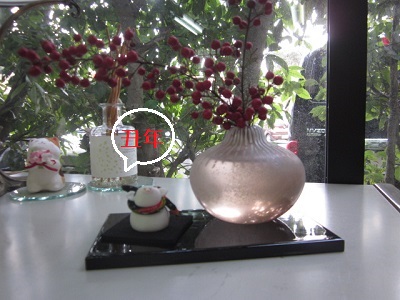 「あけましておめでとうございます🎍」関連画像