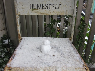 「「お餅じゃないよ」」関連画像