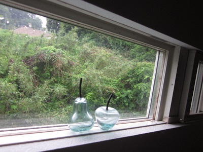 「山口県、梅雨入りです 」関連画像