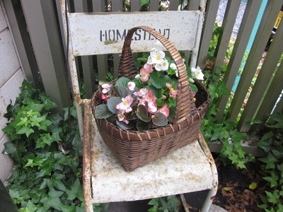 「梅雨はまだまだ終わらない・・・」関連画像