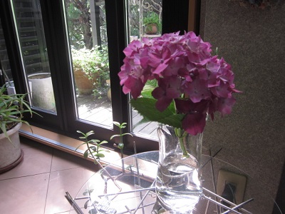 「しばらく快晴です。（暑いっ！）」関連画像