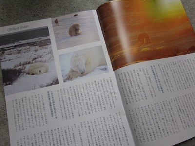 「NEIGHBOR ネイバー vol.569 ～シロクマがいる風景を求めて～」関連画像