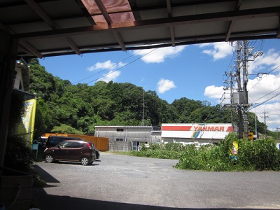 「いつの間にか、セミが鳴いている。」関連画像