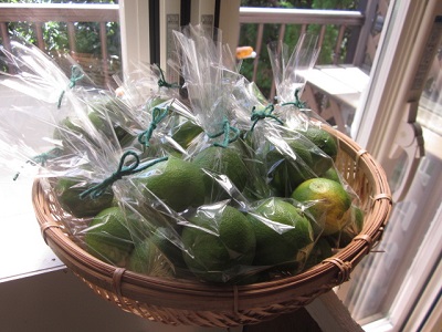 「すだち☆」関連画像