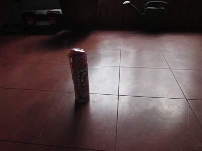 「アリ、瞬殺!!」関連画像