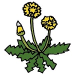 「今月のトリビア💡」関連画像