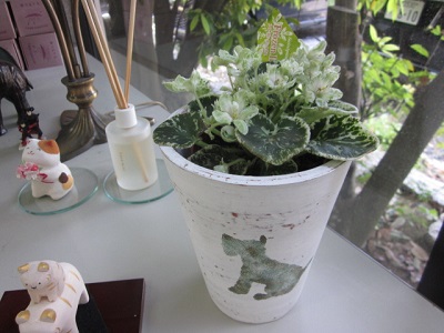 「癒しが必要です。」関連画像