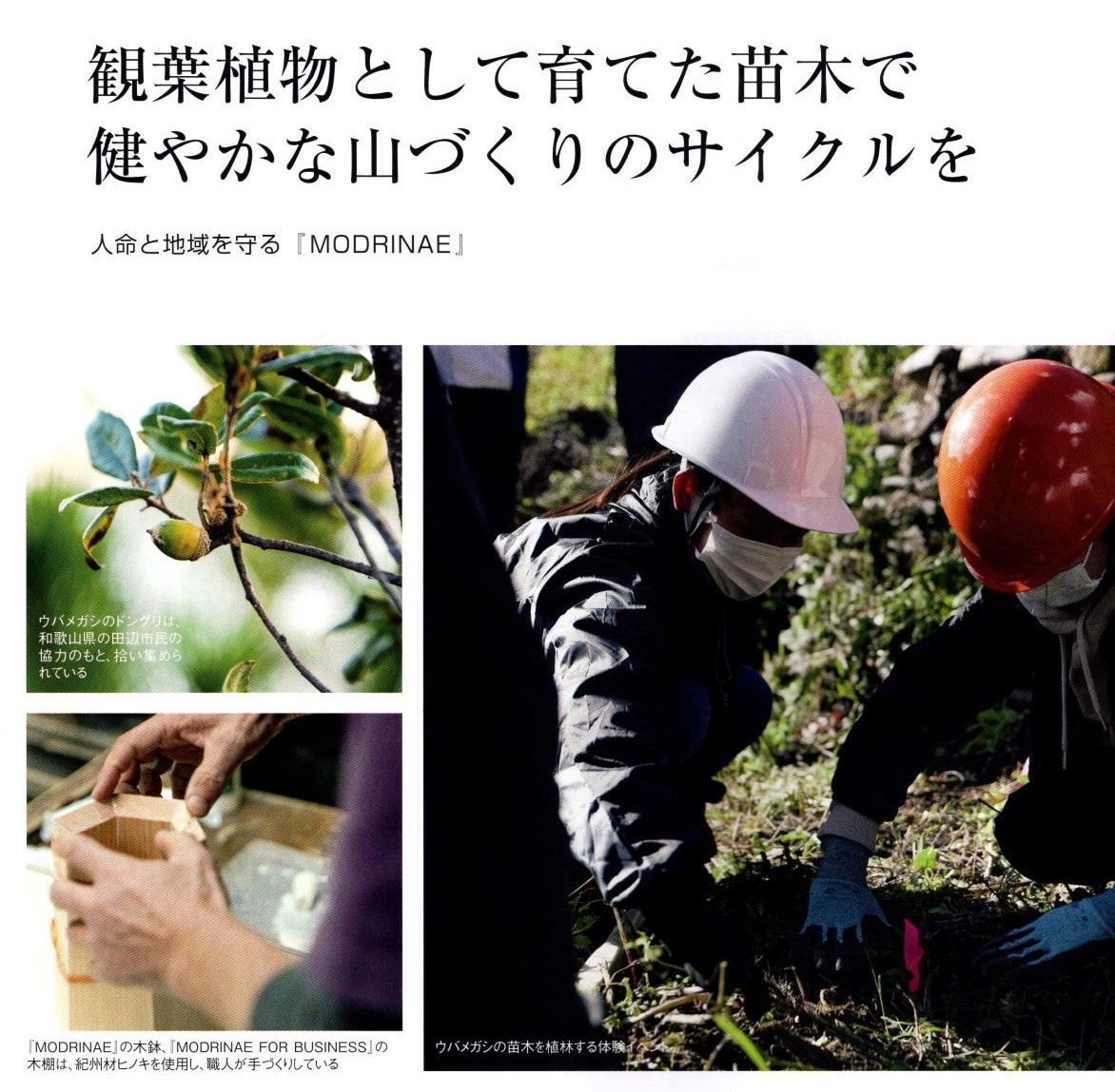 「情報冊子Neighbor[ネイバー] 2023年1月号のご紹介」関連画像