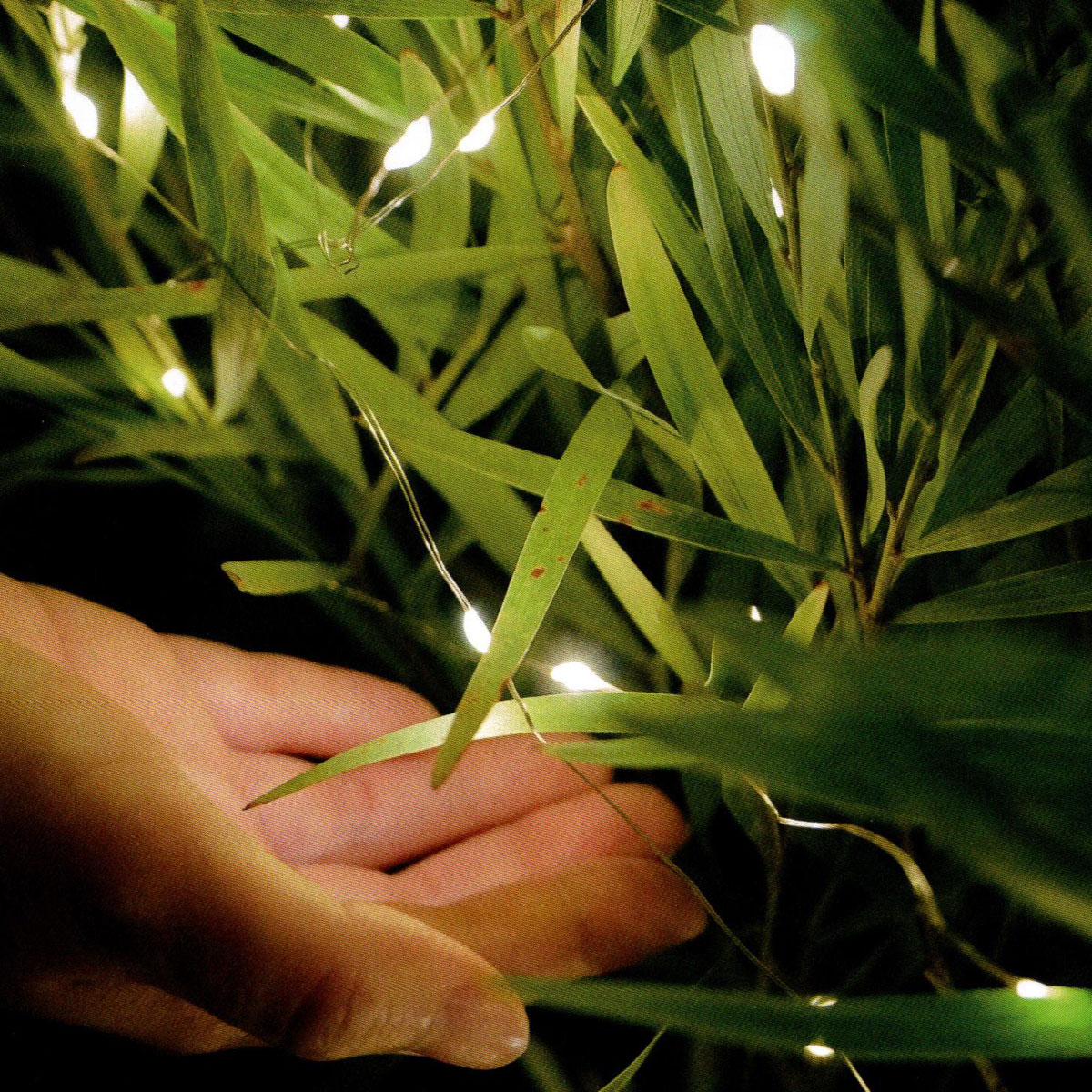 「情報冊子Neighbor[ネイバー] 2023年6月号のご紹介」関連画像