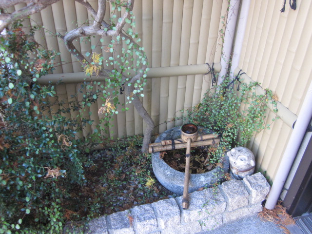 「一気に去りました🍁」関連画像