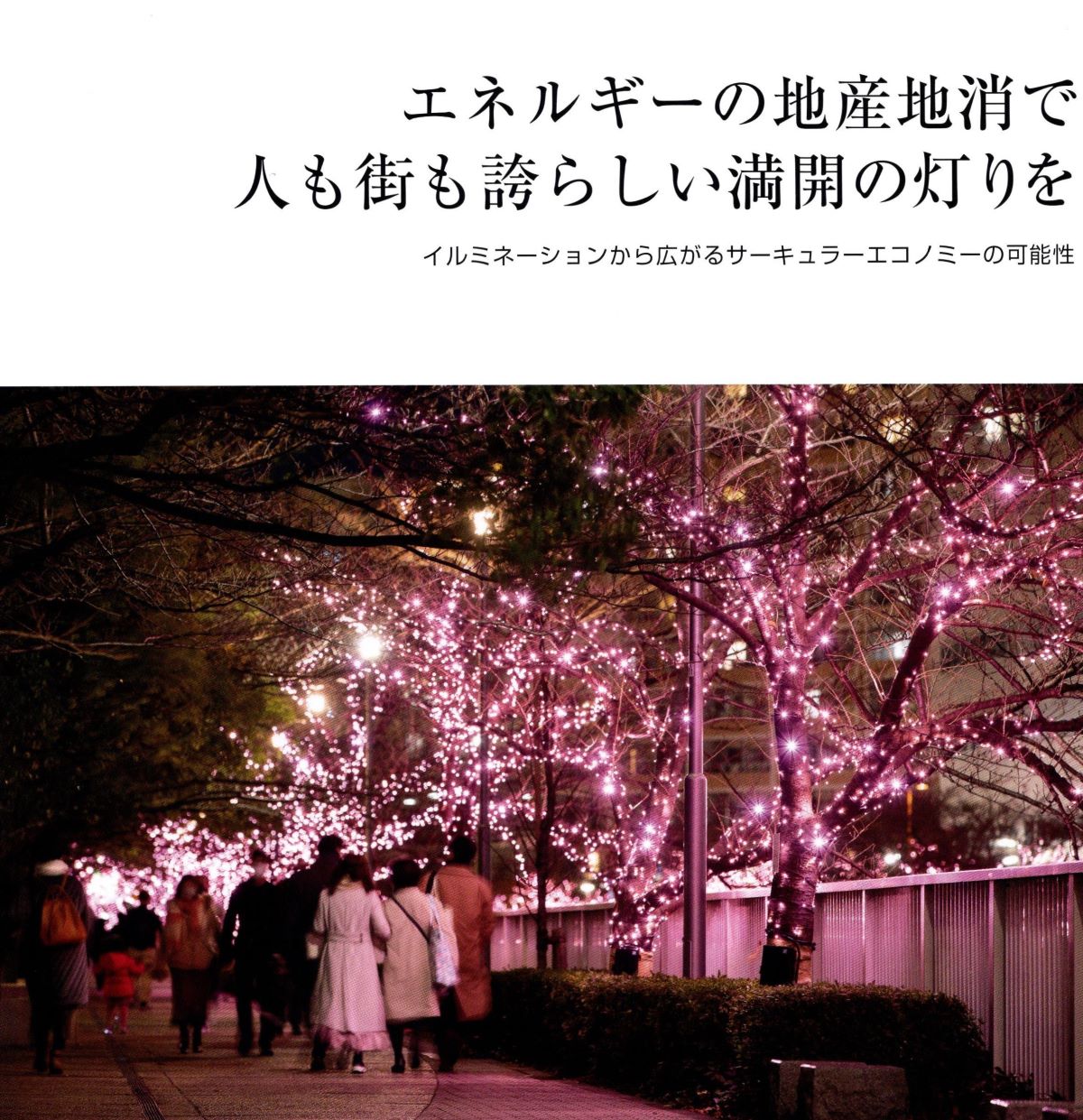「情報冊子Neighbor[ネイバー] 2024年1月号のご紹介」関連画像