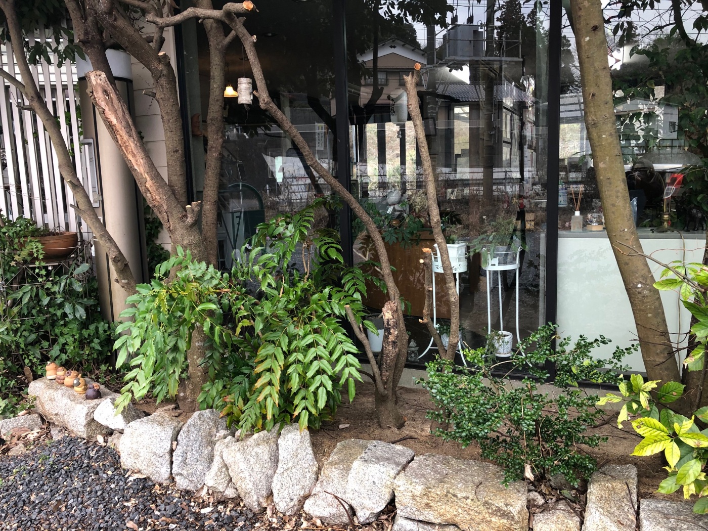 「弊社事務所前の木 伐採」関連画像