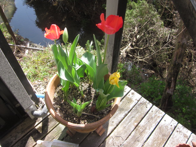 「いつの間に?!」関連画像