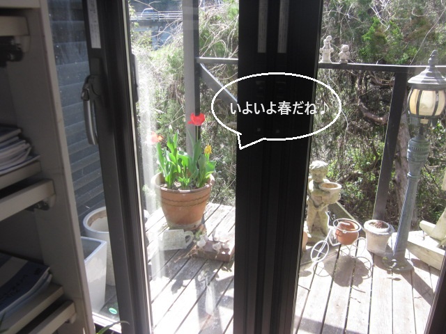 「いつの間に?!」関連画像