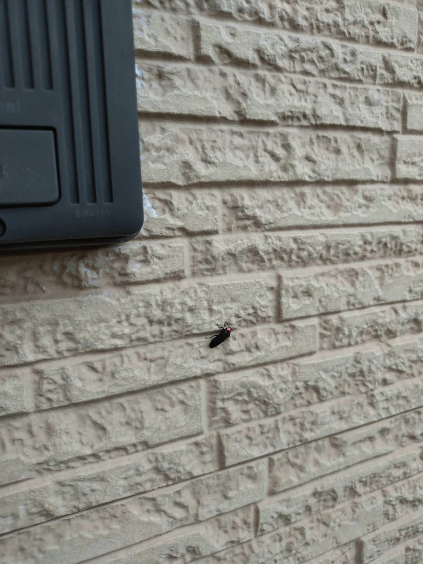 「これは・・?」関連画像