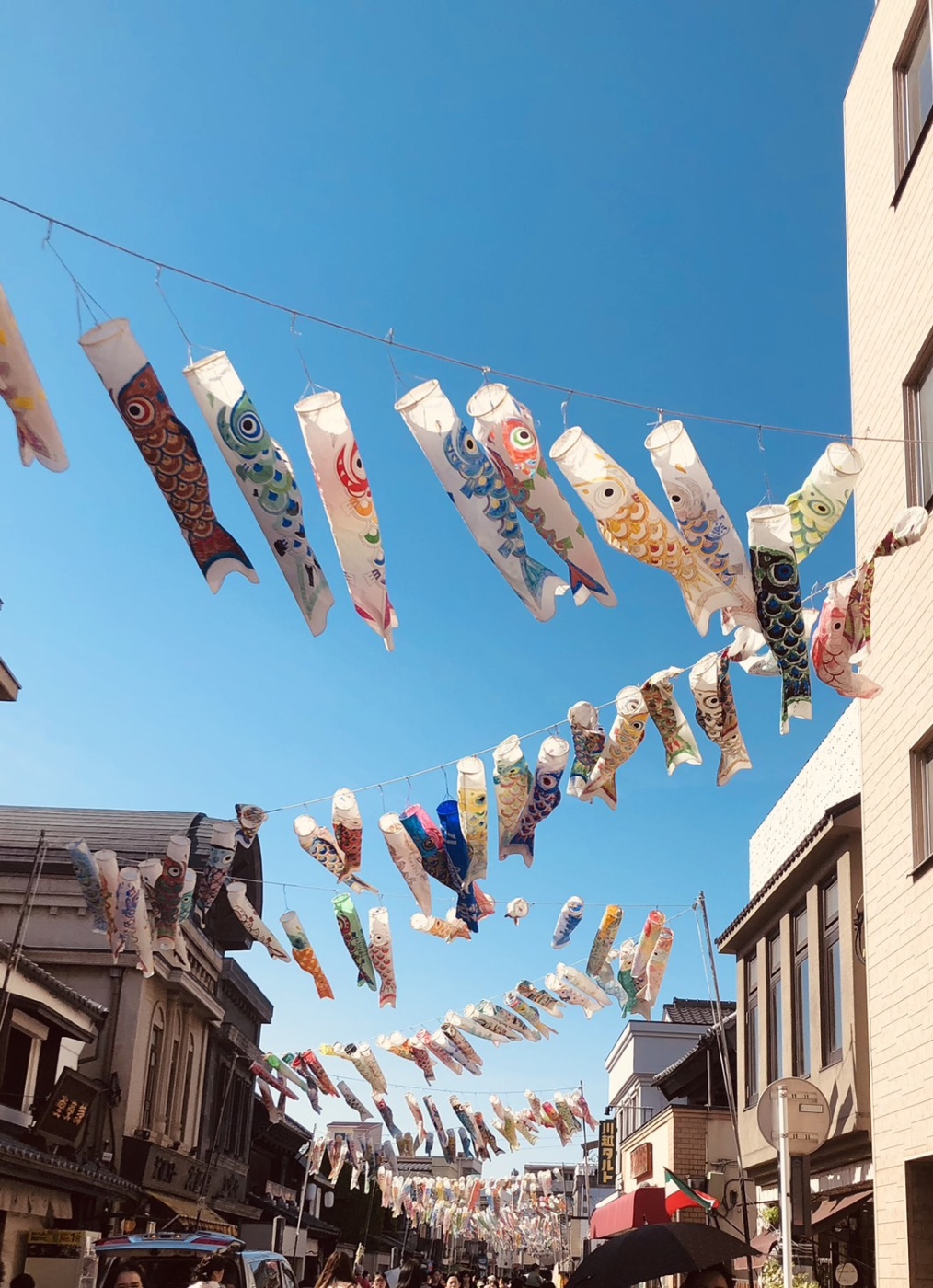 「晴天を泳ぐ鯉のぼり」関連画像