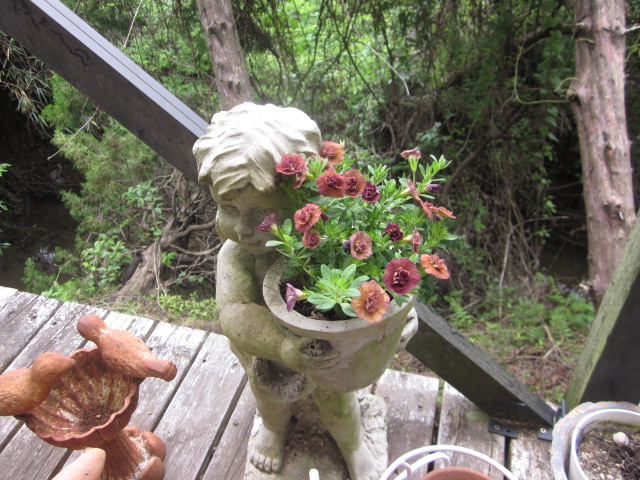 「植え替えました。」関連画像