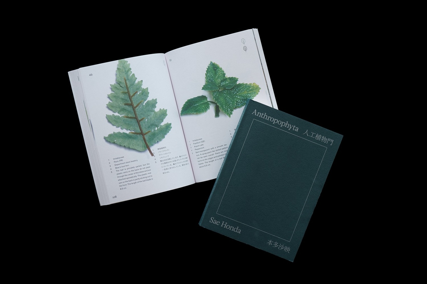 「愛らしい個性と存在感」関連画像