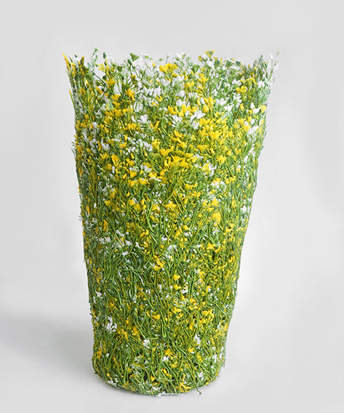 「愛らしい個性と存在感」関連画像