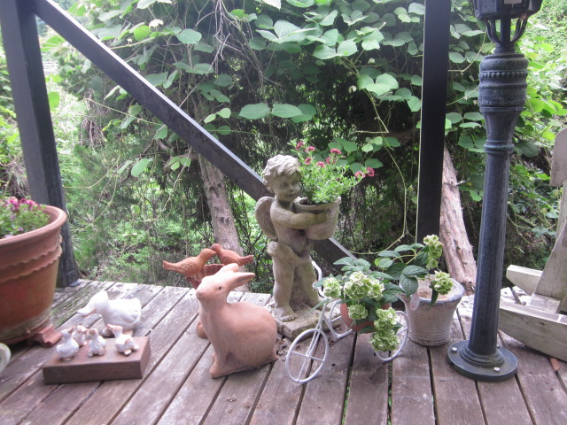 「植え替えました。」関連画像