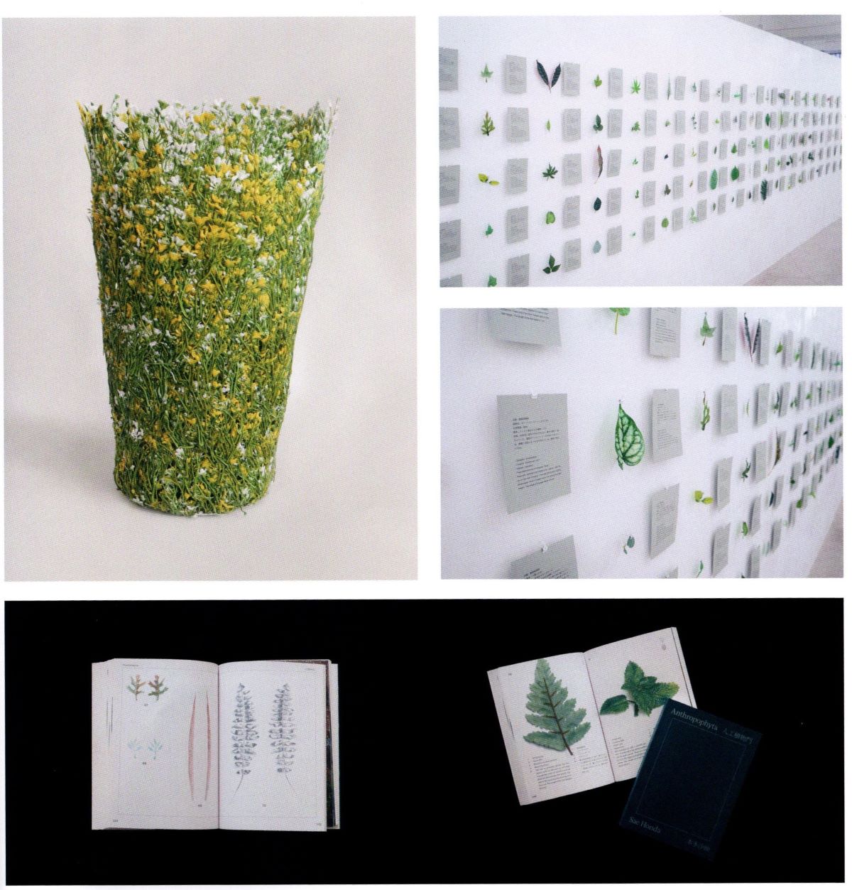 「情報冊子Neighbor[ネイバー] 2024年6月号のご紹介」関連画像