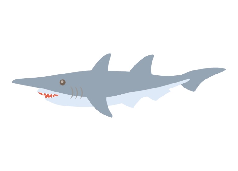 「知っ得・豆知識 8月🦈」関連画像