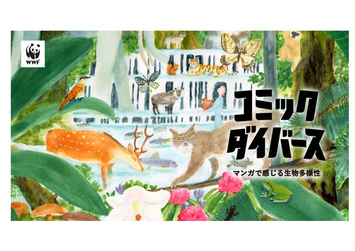 「【コミック・ダイバーズ】」関連画像