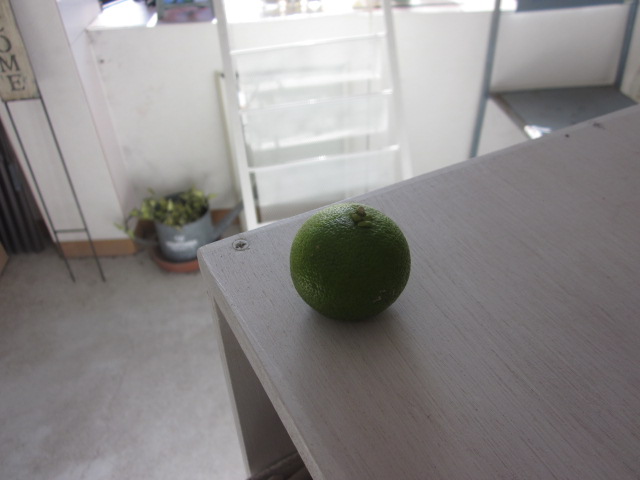 「哀愁のすだち。」関連画像