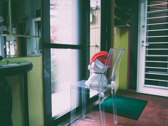 「「 師走だねぇ。」」関連画像