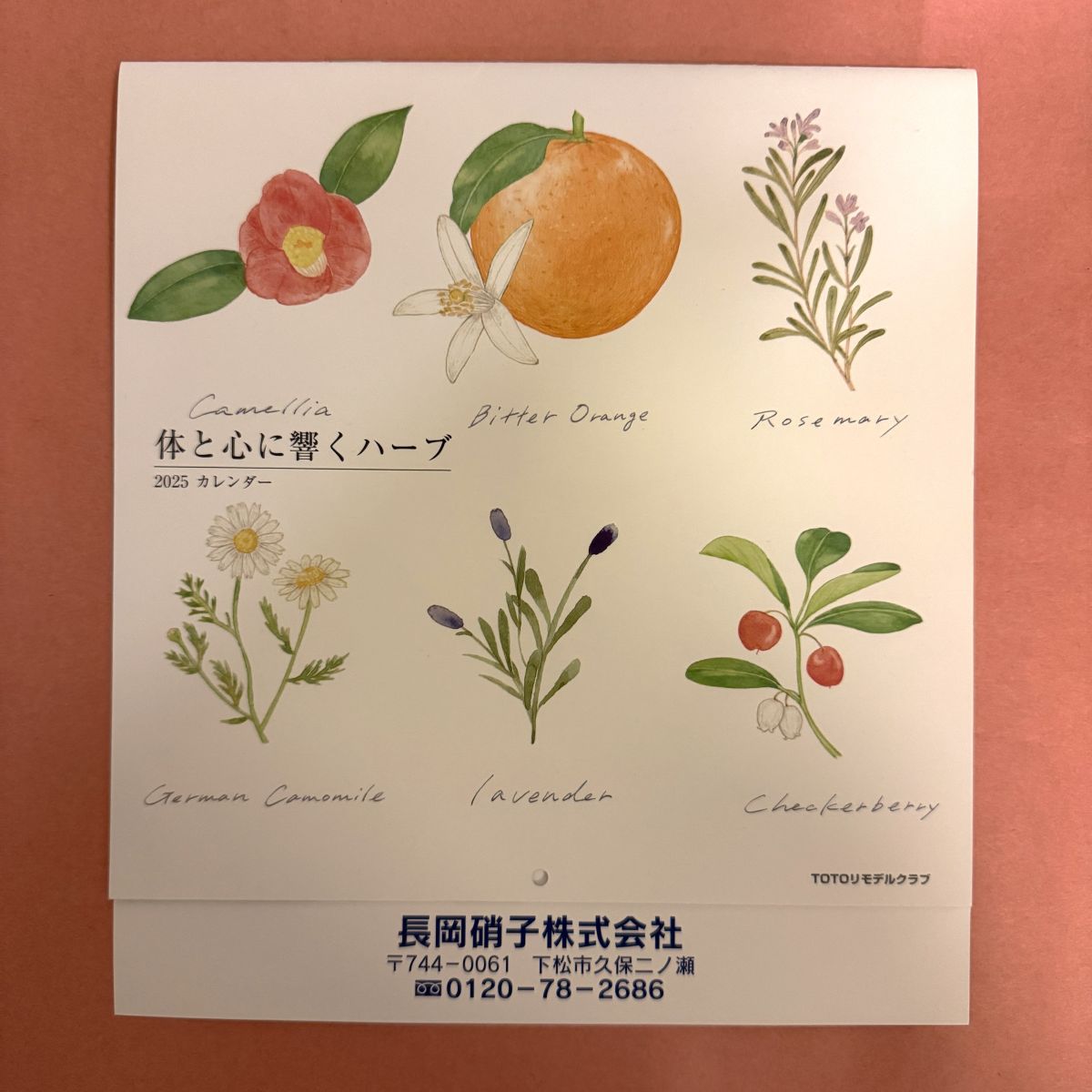 「2025年のカレンダーのご紹介」関連画像