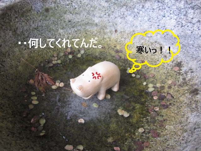 「初・凍り⛄」関連画像