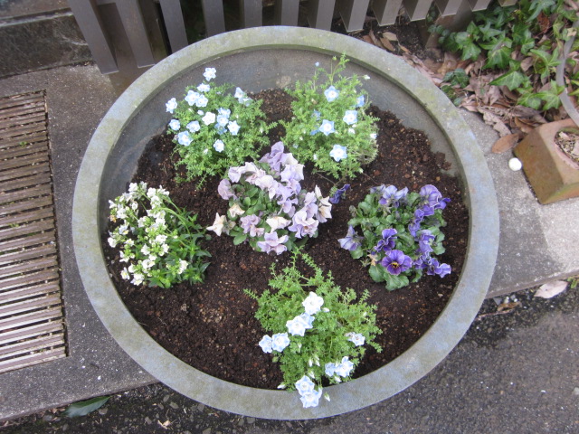 「ウグイスも、鳴いています。」関連画像