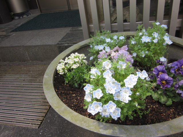 「ウグイスも、鳴いています。」関連画像