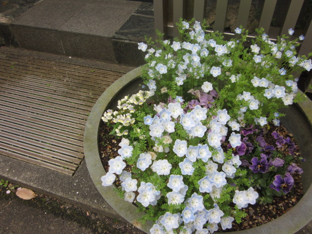 「掲示板と花。」関連画像