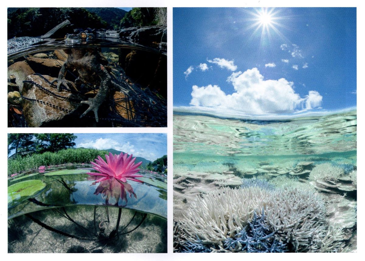 「情報冊子Neighbor[ネイバー] 2025年9月号のご紹介」関連画像