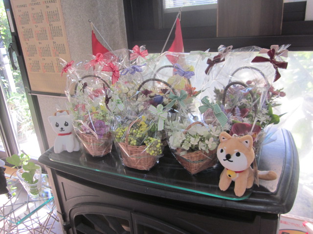 「花、いっぱい🌺」関連画像