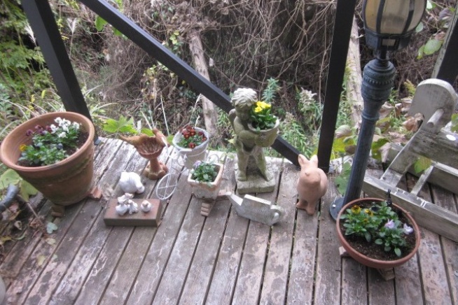 植替え。(と、変わりゆく情緒)