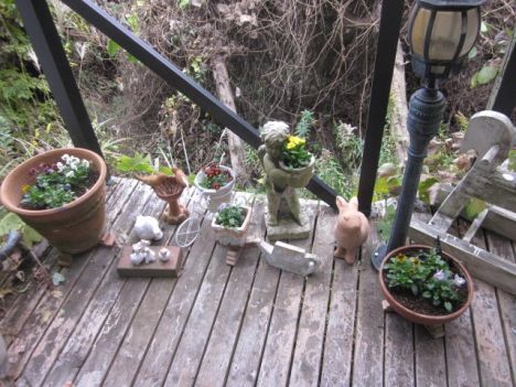 植替え。（と、変わりゆく情緒）