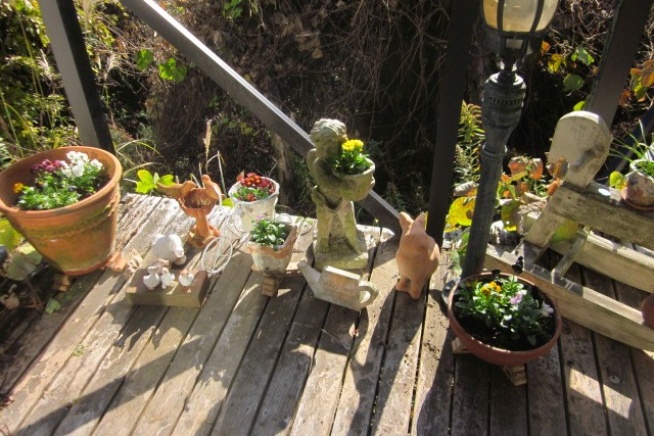 植替え。(と、変わりゆく情緒)