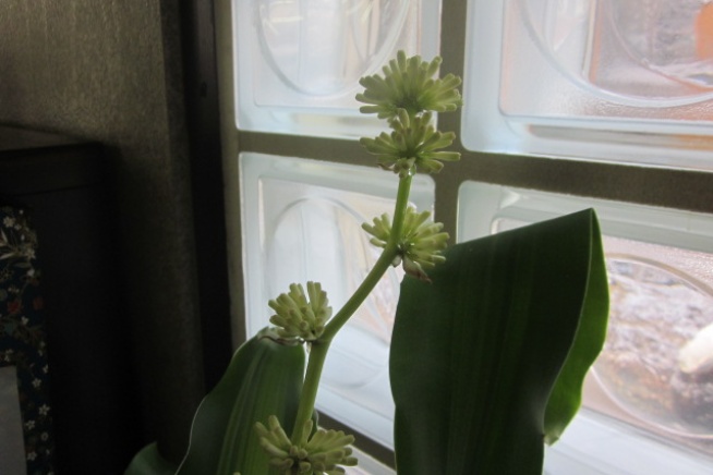 【 年末のご挨拶 】