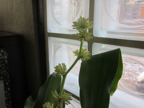 【 年末のご挨拶 】